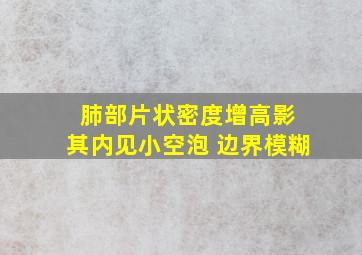 肺部片状密度增高影 其内见小空泡 边界模糊